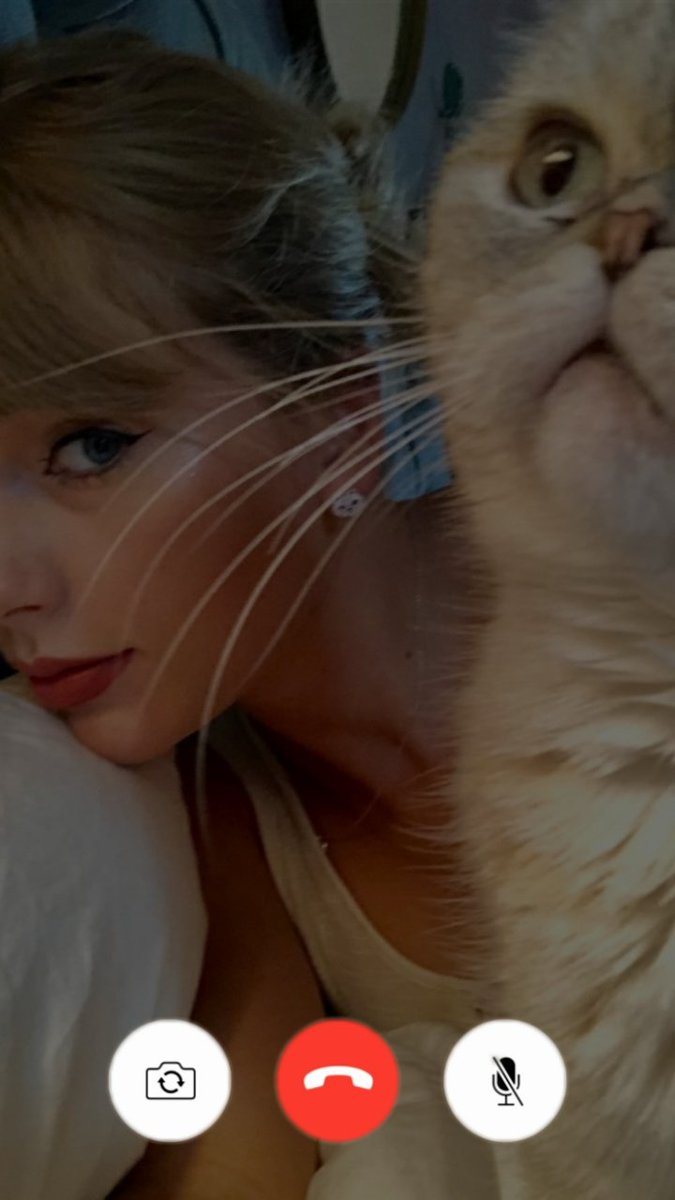 with taylor's cats...