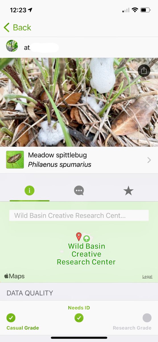 Wild Basin tweet media