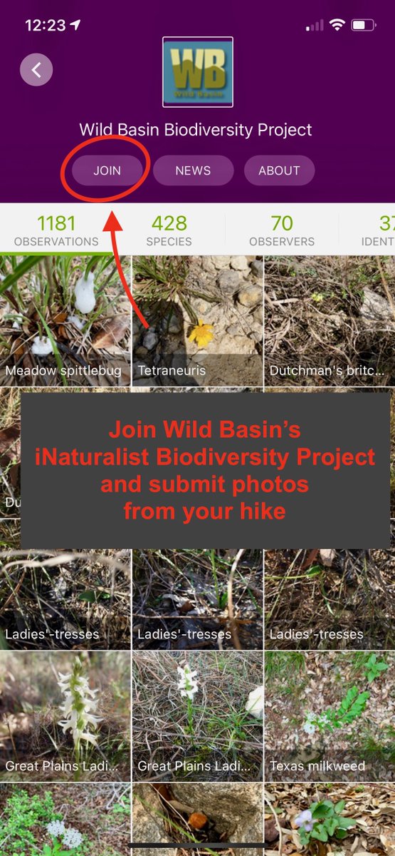 Wild Basin tweet media