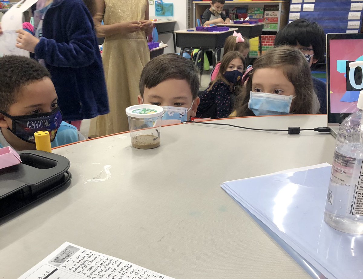 ccsd21frost's tweet photo. Lots of spring fun in Mrs. Cichanski’s K-1 class. 

Five caterpillars have joined the class family, and the students love observing them! 

They celebrated our Earth on Earth Day, and have been playing fun games to help learn about contractions. @dana_cichanski https://t.co/PtNZZJsaXM