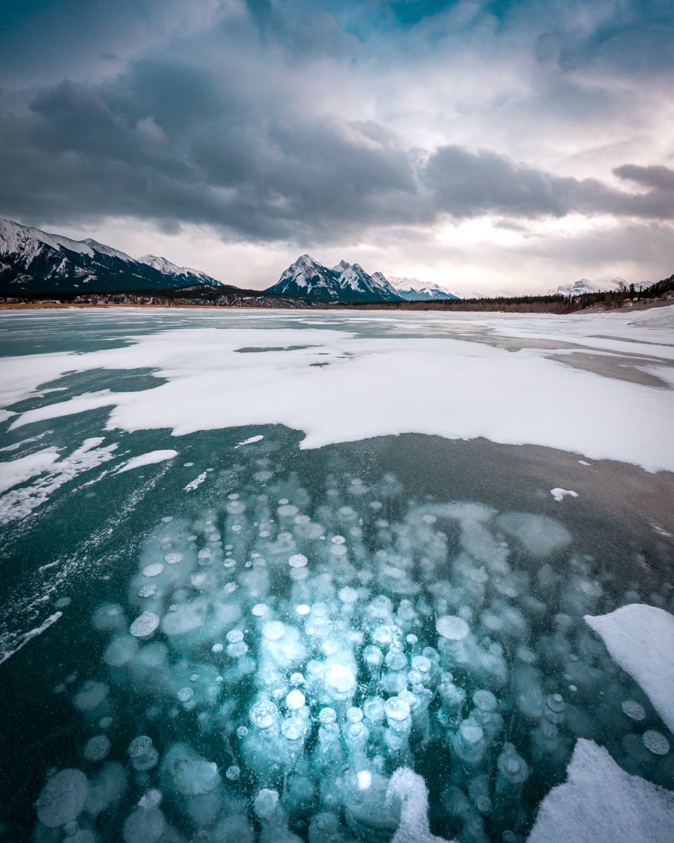 The iconic frozen bubbles of Abraham Lake in the Canadian Rockies. 🏔🇨🇦 #photography 
Getting the shot:      Final image: