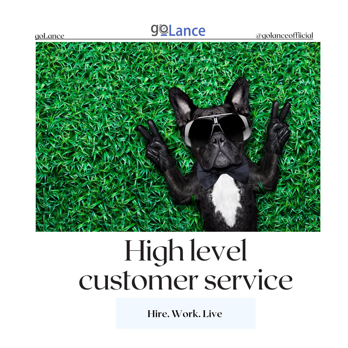 golanceofficial's tweet photo. High level customer service. 🤩💪🏽
#freelance #freelancer #freelancelife #freelancelifestyle #freelancework #freelancestylist #freelancetofreedom #freelancerdesigner #freelancewriting #work #workhard #workoutmotivation #workfromhome #working #workoutfit #workoutquotes #reviews https://t.co/EwZkKMMS4I