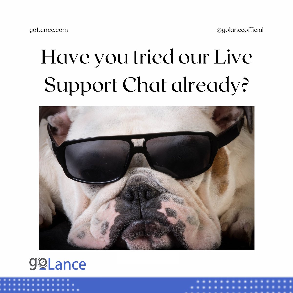 golanceofficial's tweet photo. High level customer service. 🤩💪🏽
#freelance #freelancer #freelancelife #freelancelifestyle #freelancework #freelancestylist #freelancetofreedom #freelancerdesigner #freelancewriting #work #workhard #workoutmotivation #workfromhome #working #workoutfit #workoutquotes #reviews https://t.co/EwZkKMMS4I