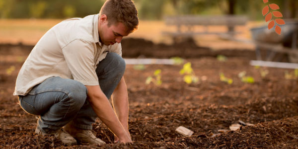 AdvancingAg's tweet image. Only one day left to apply! Become an #AdvancingAg mentor &amp;amp; help foster a future leaders career. OR advance your career in agriculture and become a mentee! advancingag.ca

#cdnag #abfarming