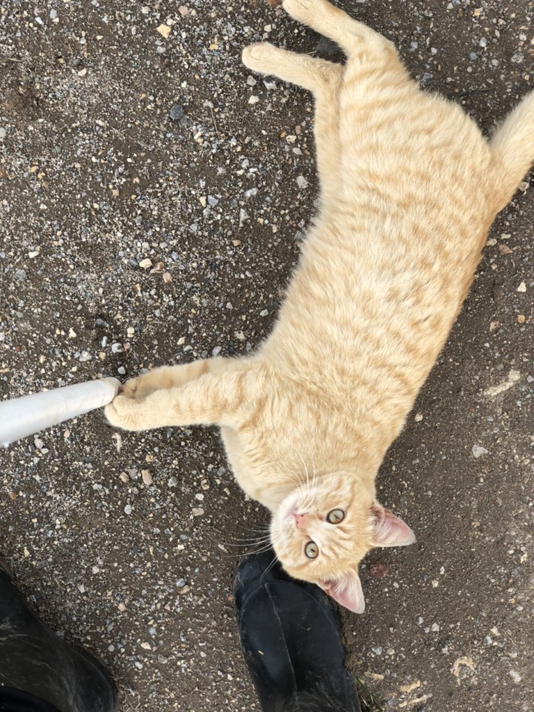 AnilSarioglu's tweet photo. 17 gΓΌn dolu dolu geΓ§ecek π
#Otislife https://t.co/55TLUdzu1q