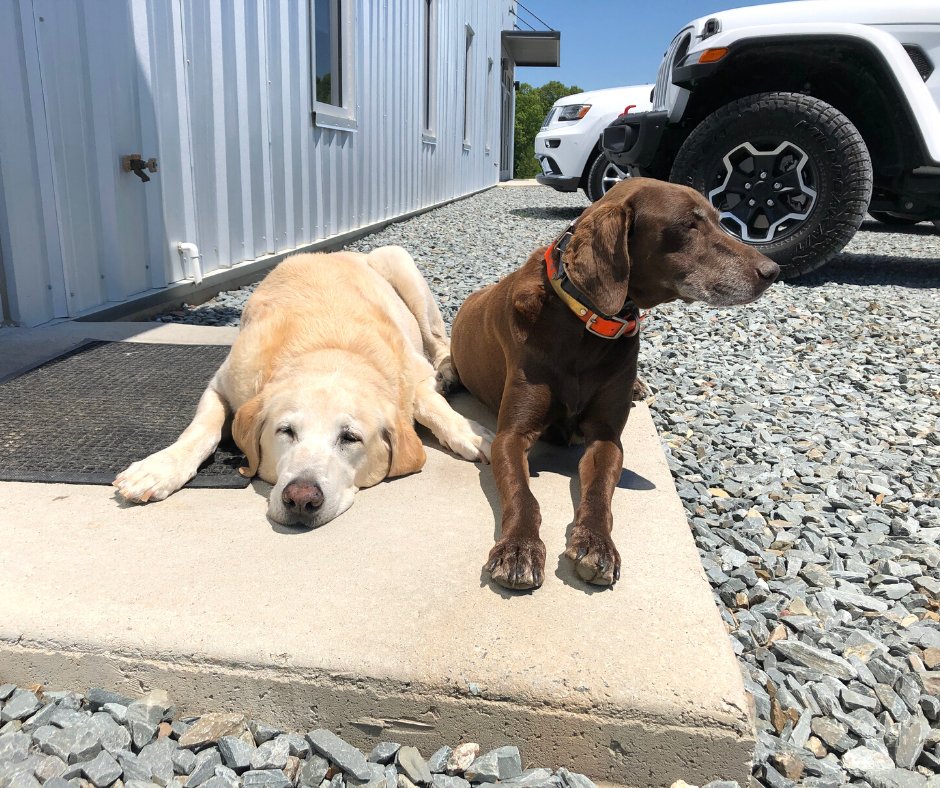 PanoramicFarm's tweet photo. Feels like the "dog days" of summer already! Stay cool out there! https://t.co/Fx9YbFchfO