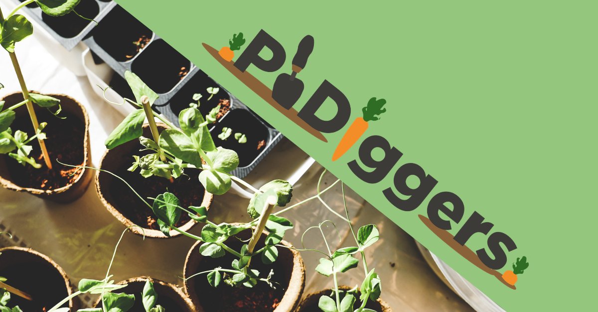 pg(su) - supporting phd students who teach (@ueasu_pg) on Twitter photo We're back diggin' down at the allotments π±
If you're a postgrad on campus or in and around Norwich and want to get involved with PhDiggers you can drop Josh an email: j.melling2@uea.ac.uk. We're back diggin' down at the allotments π±
If you're a postgrad on campus or in and around Norwich and want to get involved with PhDiggers you can drop Josh an email: j.melling2@uea.ac.uk.