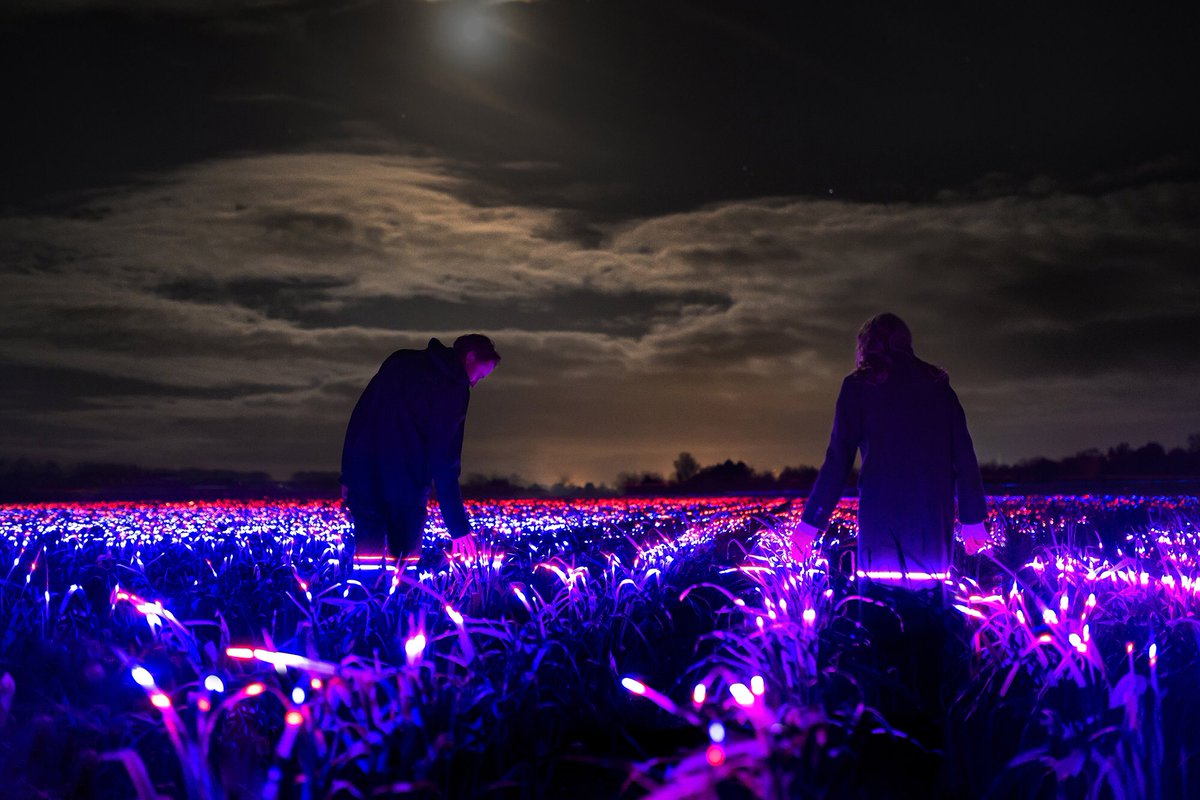 Winner of ART: High Budget category is… Grow in the Netherlands by Studio Roosegaarde!

#lightingawards #darcnight #lighting #architecturallighting #decorativelighting #2020winners #darcawards