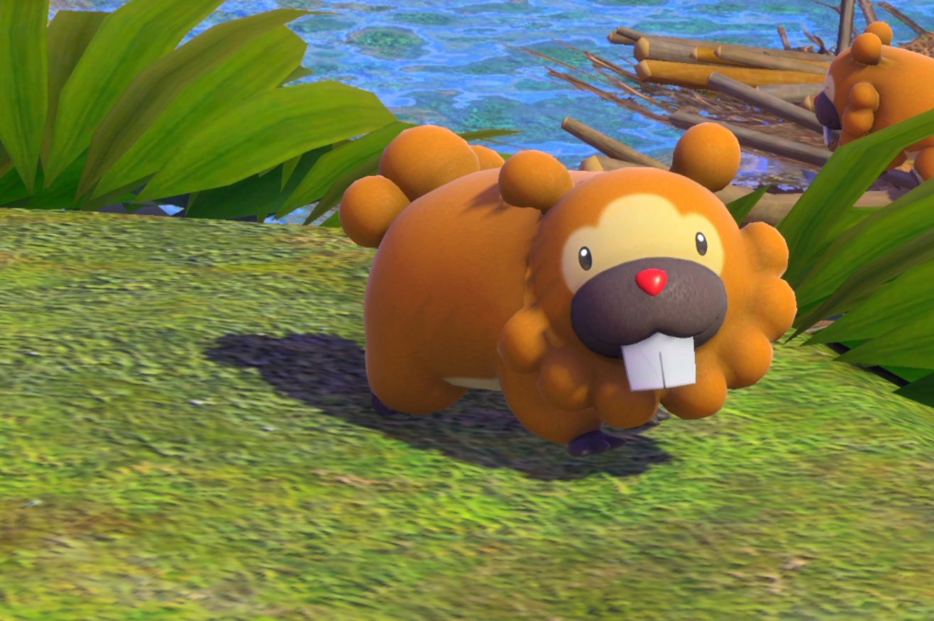もつく 謎の緑色vtuber V Twitter Newポケモンスナップ ひたすらビッパがかわいい Newポケモンスナップ T Co Kr7oysnckq Twitter