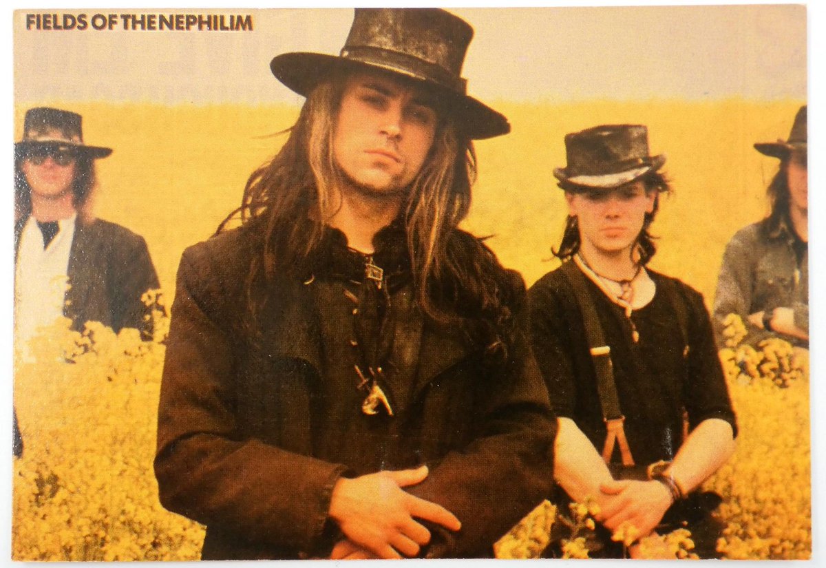 Fields Of The Nephilim standing about in field of the oilseed rape. (Thanks  @inner_strings)