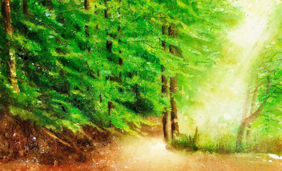 « Leave me in the heart of nature beneath the sunlight's glow » #nature #forest #wilderness #woodland #woods #art #artwork #Mindfulness #greenspaces #trees #thursdayvibes #Sunlight #watercolour #watercolor #ArtistOnTwitter #Canada #outdoors #walk #trails #naturewalk #tranquil