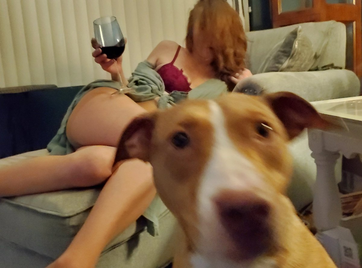 amaresiren's tweet photo. #SimplyNRG
I have Sat - Wed available this week my dudes!!! Lemme know what day ya want or my ass is staying in Miami longer π
#DateBoston #DateWorcester #DateProvidence #DateNashua https://t.co/ZzZtjliqs6