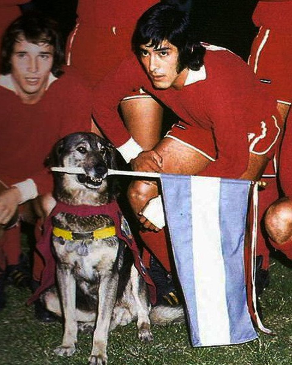 Mucho más que un perro. Muchas más copas y gloria que unos cuantos.

En el #DíaDelAnimal, imposible no recordar a Boneco. Mascota, amigo, amuleto, talismán.

#TodoRojo 🔴