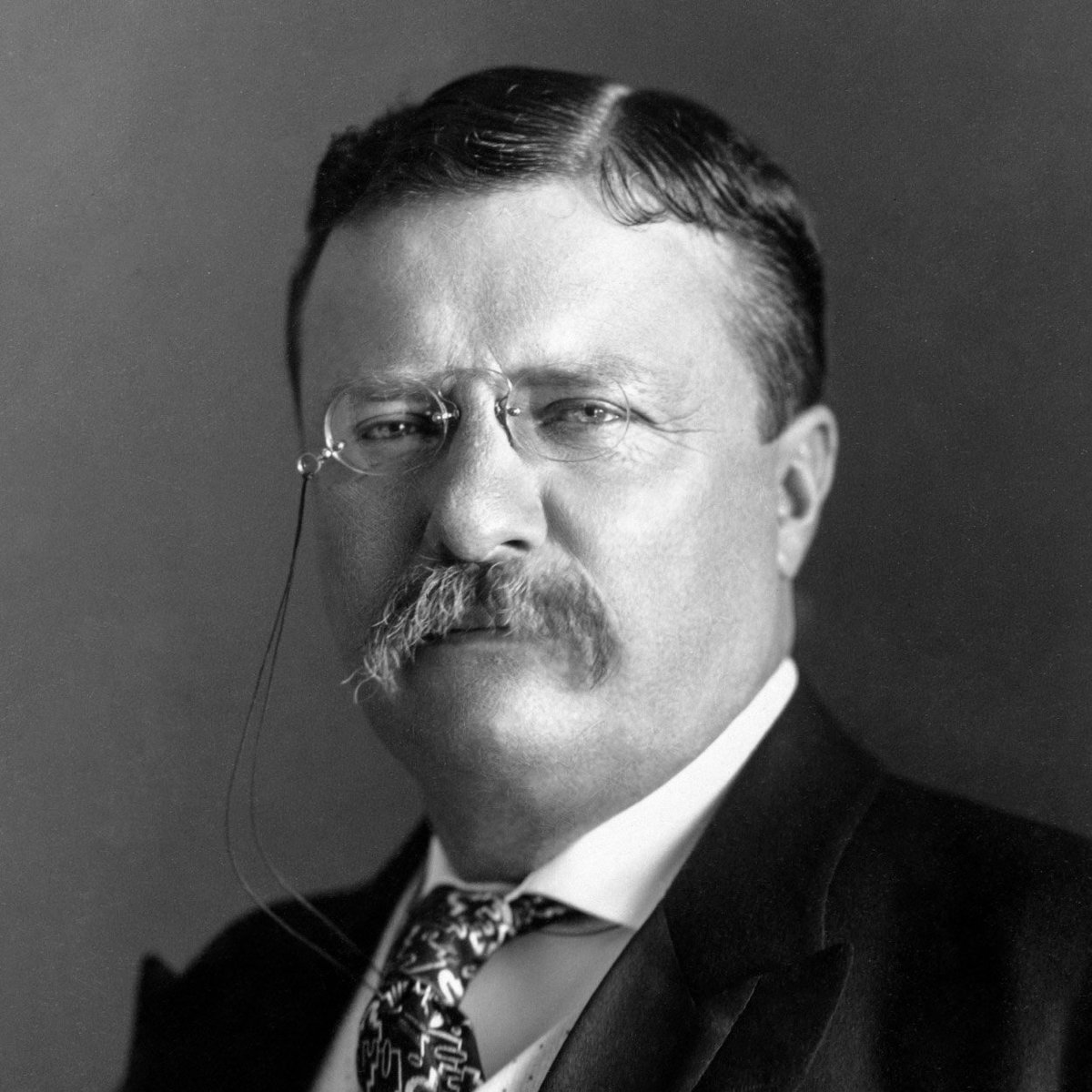 Theodore Roosevelt:- Complains that the Republican Party is too pro-business and not working class- Argues with libertarians and neoliberals all day- Uses the term cuck frequently- Posts about his physique and rambles about traditional architecture