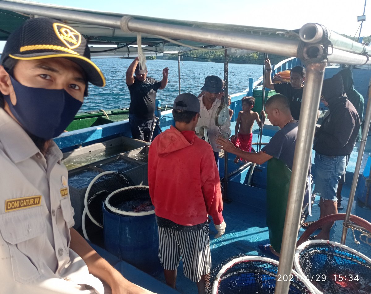 wilkerbalut's tweet photo. 29/04/2021 #OneHealthKIPM Kegiatan Pengawasan Pemuatan Ikan Kerapu Hidup di desa Kalupapi Kec. Bangkurung Kab. Banggai Laut
Oleh petugas :
@Wilkerbalut
@HumasBKIPM
@rinajanwar2201
@darwis_skipmlb
@l3o_Ramagusta
@medya1978 https://t.co/5LyNHiqDDz