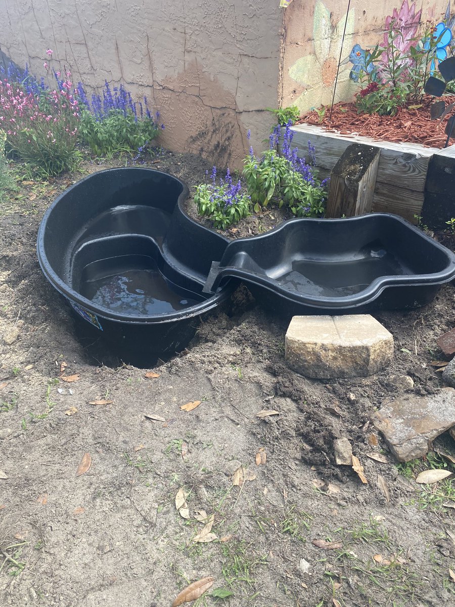 Great things are happening in the garden at <a href="/DeltonaHigh/">Deltona High</a>! The herb/vegetable garden and a pond with in this week!