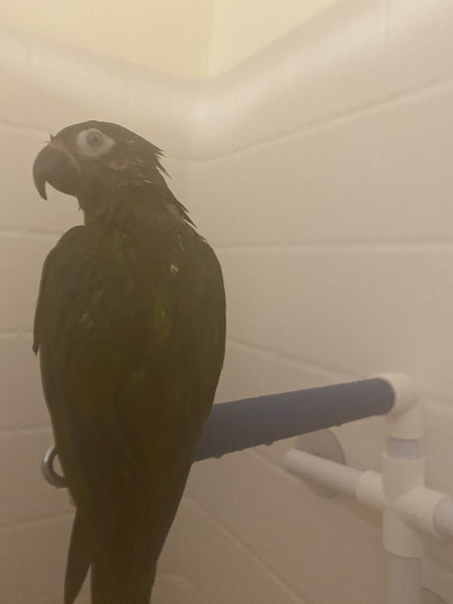 Samantha Douty tweet media