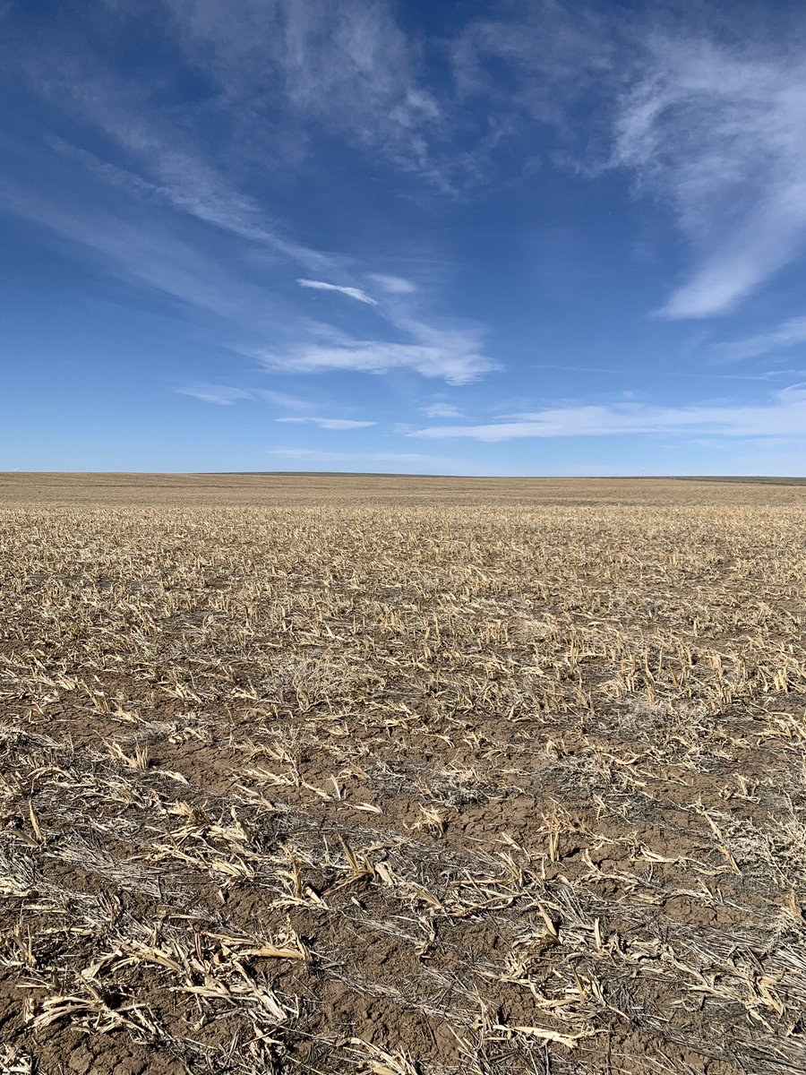 farmnerd's tweet image. There’s carbon bein sequestered in them there fields! #deveronuas, #SoilHealth #gradable