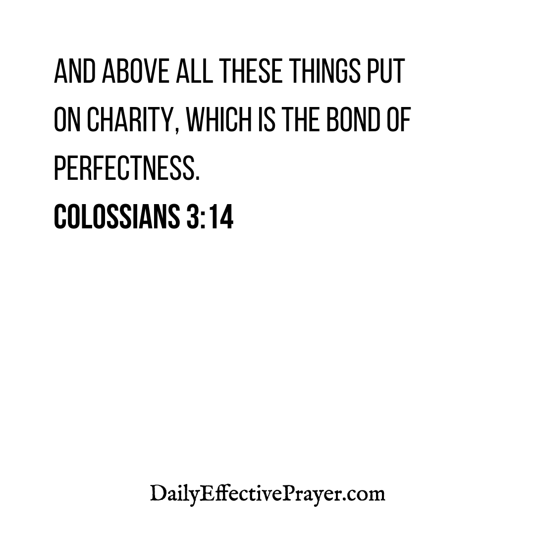 DailyEffectiveP's tweet photo. LOVE is the answer! (Colossians 3:4) ❤️
.
.
.
.
.
.
#colossians #prayerrevival #bibleverse #prayermovement #prayerfirstbeforeanything #prayerquotesfortoday #ipraydaily #prayerneeded #eveningprayers🙏 #scripture #prayerteacher #prayermeditation #prayerforhealing https://t.co/AeBxZVd1f4
