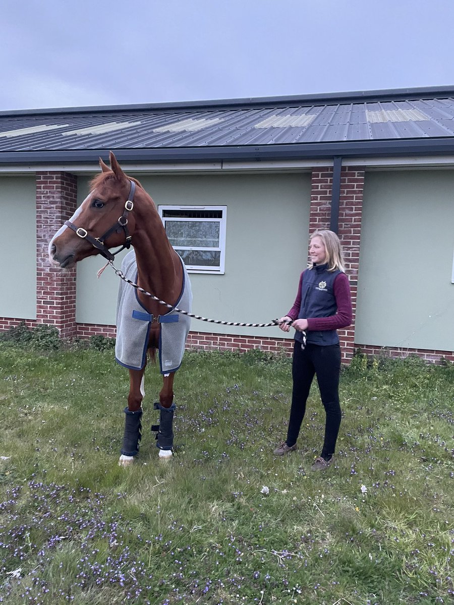 Chelsea_banham_racing (@cbanhamracing) on Twitter photo Admirable lad winning yesterday <a href="/wolvesraces/">Wolverhampton Races</a> ⭐️ He was broken in here with us, and I’m delighted to see him get his head in front for owner/breeder. 🥂🎉#winner #winning #racehorse #racing #horseracing #thoroughbredracing #teamwork #chestnut #allweather #happyhorses #mulligans Admirable lad winning yesterday <a href="/wolvesraces/">Wolverhampton Races</a> ⭐️ He was broken in here with us, and I’m delighted to see him get his head in front for owner/breeder. 🥂🎉#winner #winning #racehorse #racing #horseracing #thoroughbredracing #teamwork #chestnut #allweather #happyhorses #mulligans