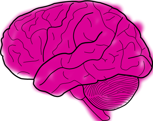 To explain let's say someone says "Brain sex exists, you can tell male and female brains apart, we'll colour code them pink and green"And you're like, right. Cool.Left. the Green Sex Brain. Right, the Pink Sex Brain. Our brains have a sex. Brilliant