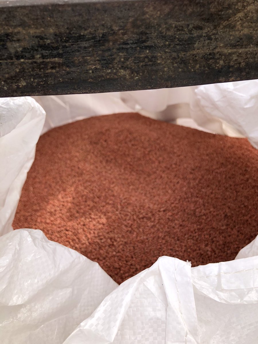 Treated Cover 2 on some nice looking Altorado barley and Broadacres wheat for our Discovery Farms 40 acre project! Excited to be this much closer to seeding time! @DiscoveryFarmSK @STORMTreater <a href="/NutrienAgCda/">Nutrien Ag Solutions Canada</a> <a href="/NutrienAg_NSK/">Nutrien Ag Solutions - Northern Saskatchewan</a>  #downtoearthagresearch