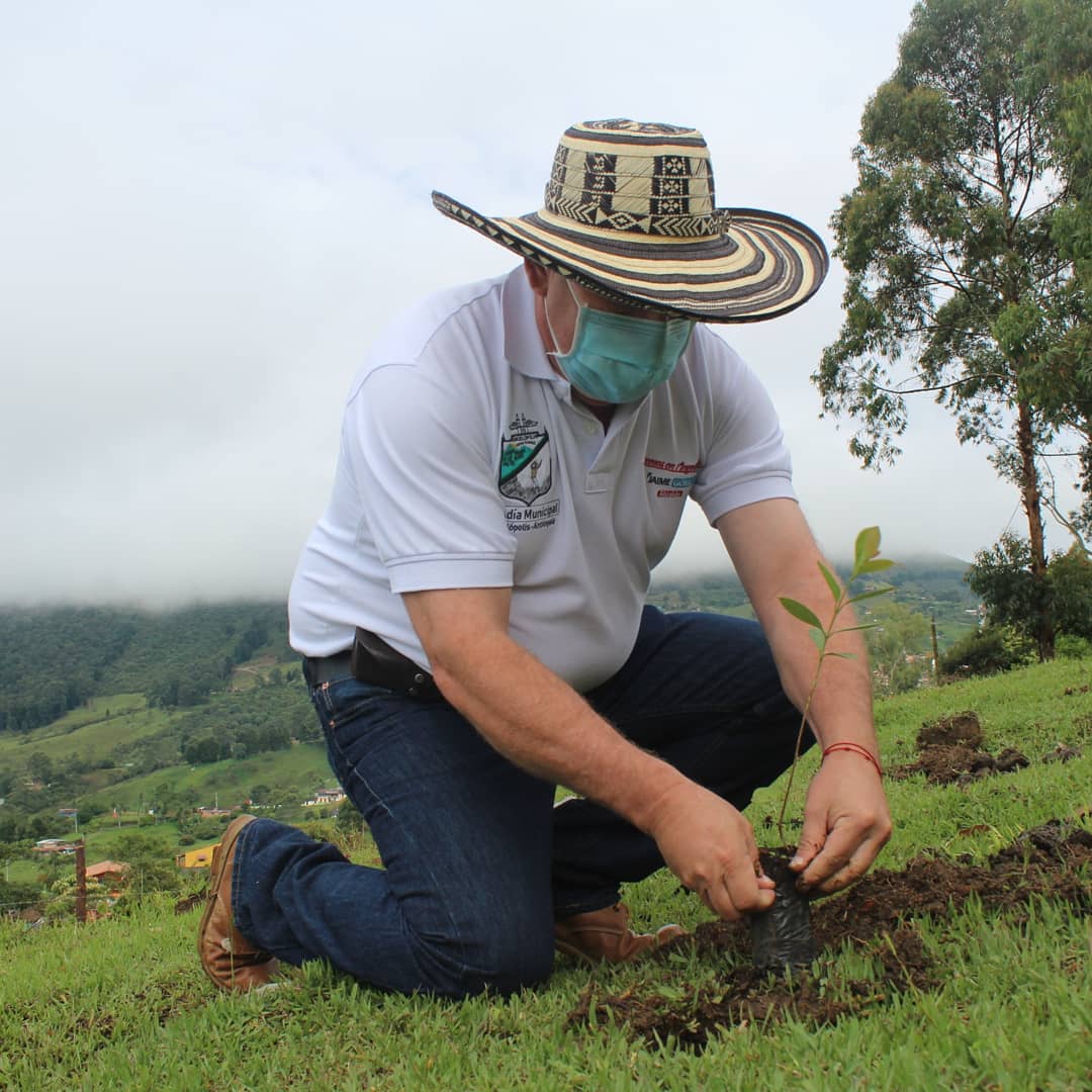 alcaangelopolis's tweet photo. Para nosotros los árboles son fuente de vida, bienestar y salud, por este motivo conmemoramos hoy 29 de abril el día del árbol con una siembra que lideró nuestro Alcalde y el Gabinete Municipal. 

🌳 Sembramos guayabos, dado que estos atraen pájaros y mariposas. 🍃🦋🐦 https://t.co/GVFnLeShBX