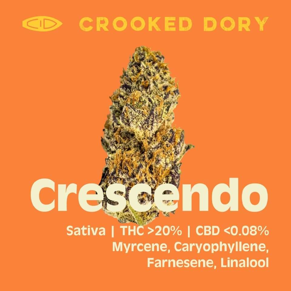 Good Evening NL!

We have some great news to share with you as we will be launching our next strain to the market with Crescendo for late next week! A Sativa dominate hybrid, a strong taste of Diesel and earth, with a hint of citrus.

#crookeddory