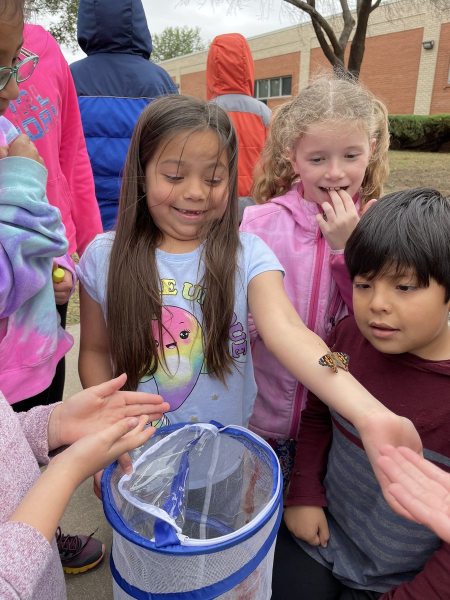 Megan Henderson tweet media