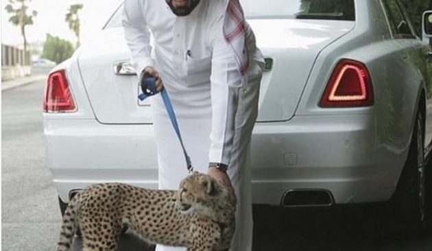 S.M.Q (@7zgntvq3k1emjgb) on Twitter photo 