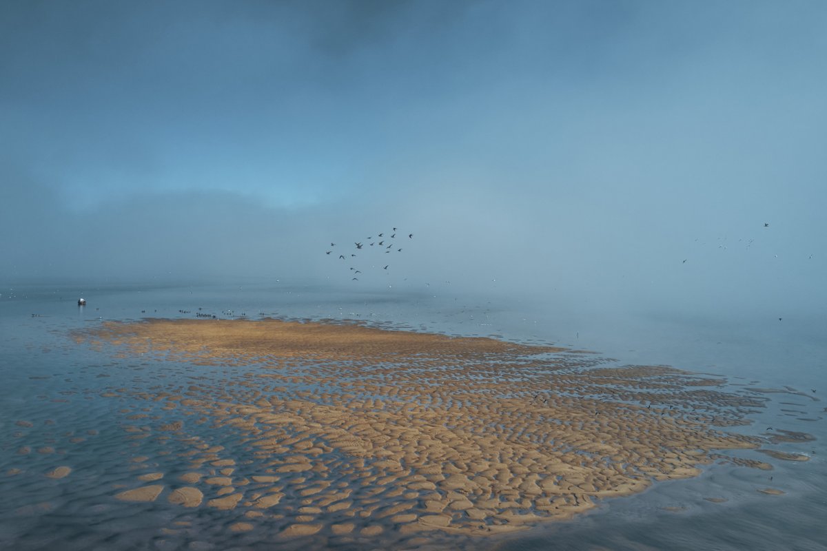 TaliKimelman's tweet photo. La laguna de #JoseIgnacio y sus aves https://t.co/13W0bIEYJ7