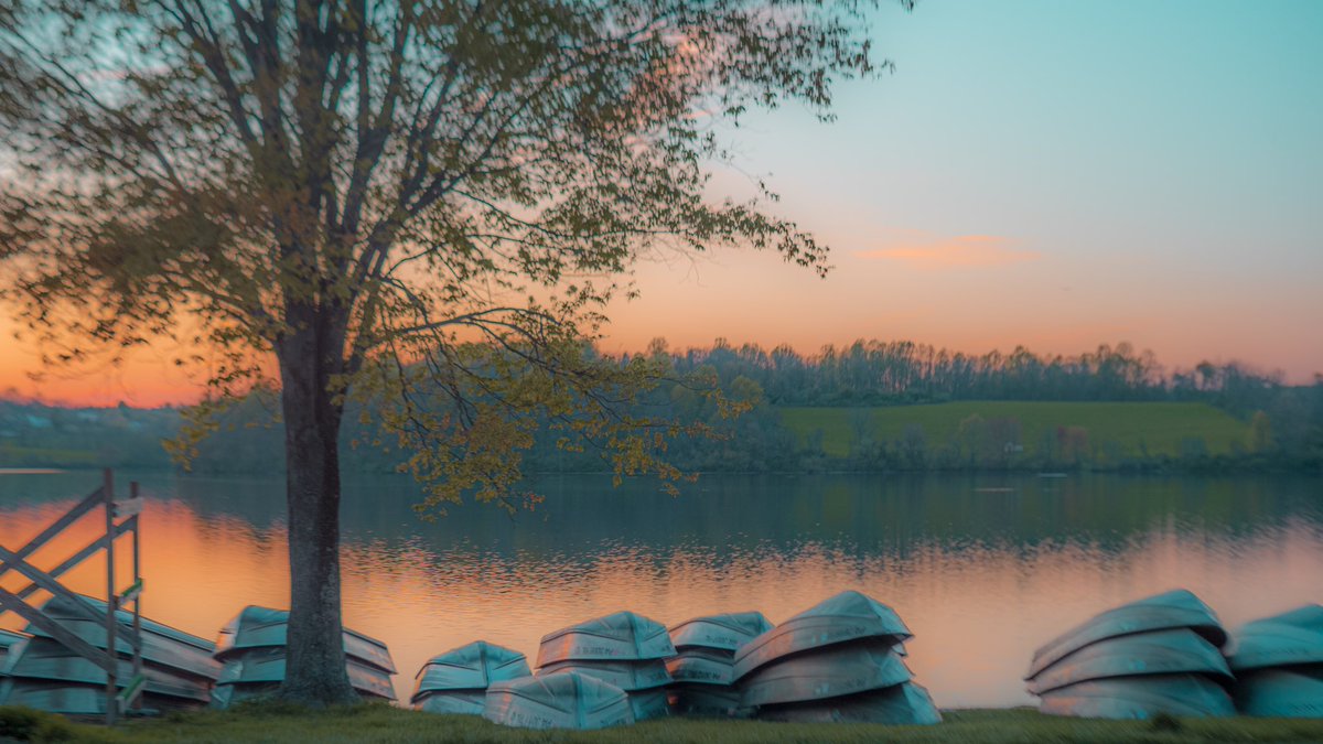 Kyler Steele tweet media