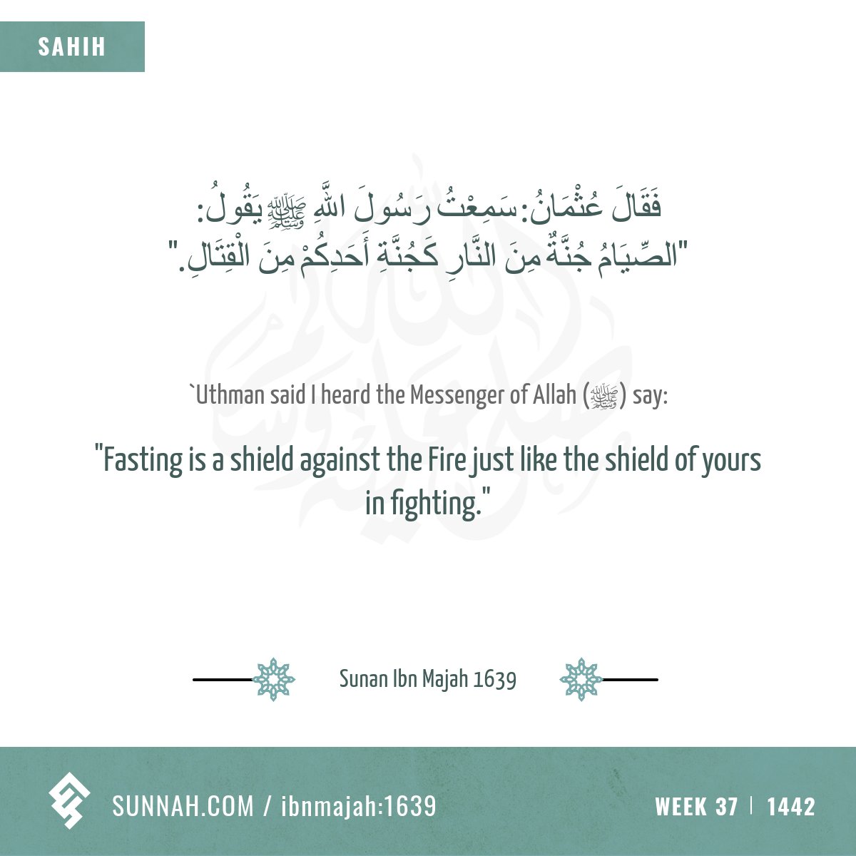 Week 37: Fasting as a shield
Sunan Ibn Majah 1639
sunnah.com/ibnmajah:1639
