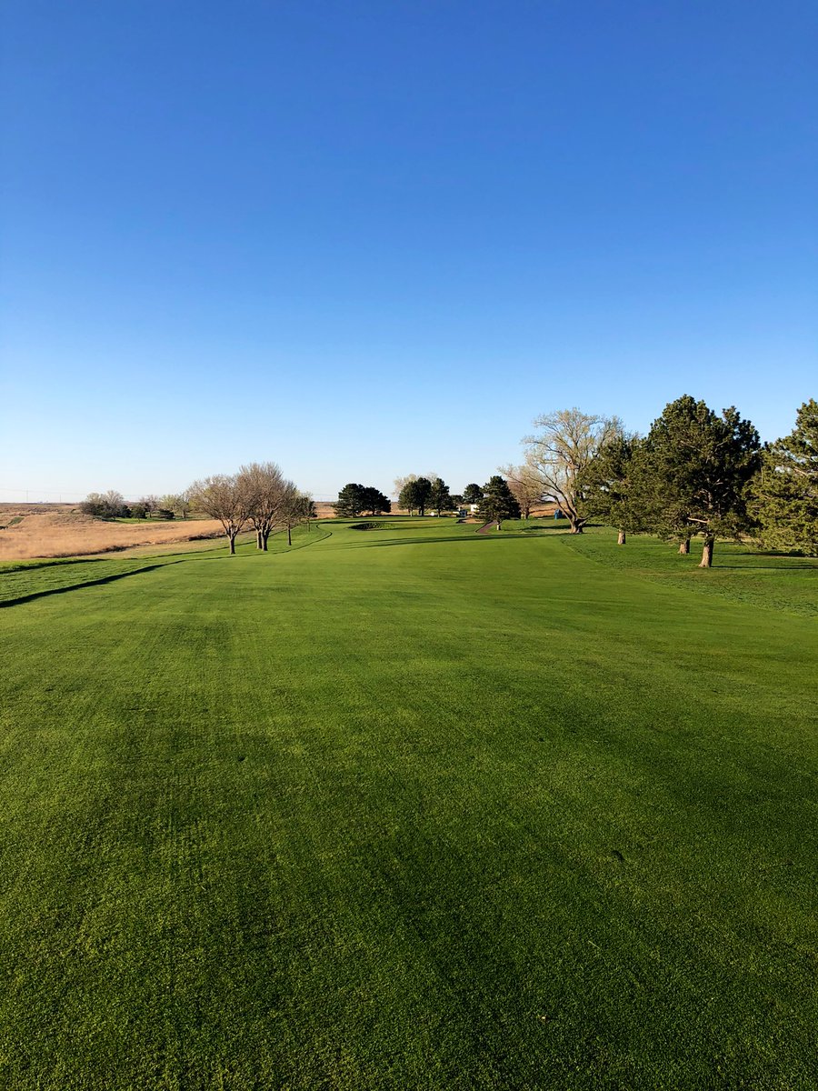 Mitch Chalkley tweet media