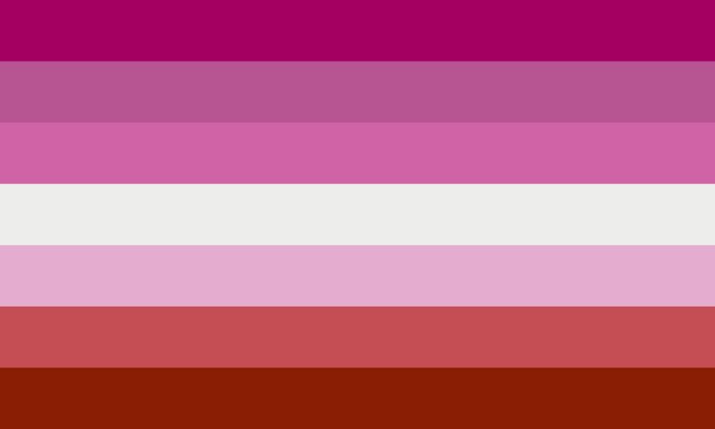 btw this june is pride month if i see merch or art with this flag i’m blocking because it’s 2021 you should know better by now