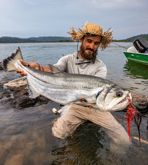 Xingu Lodge tweet media