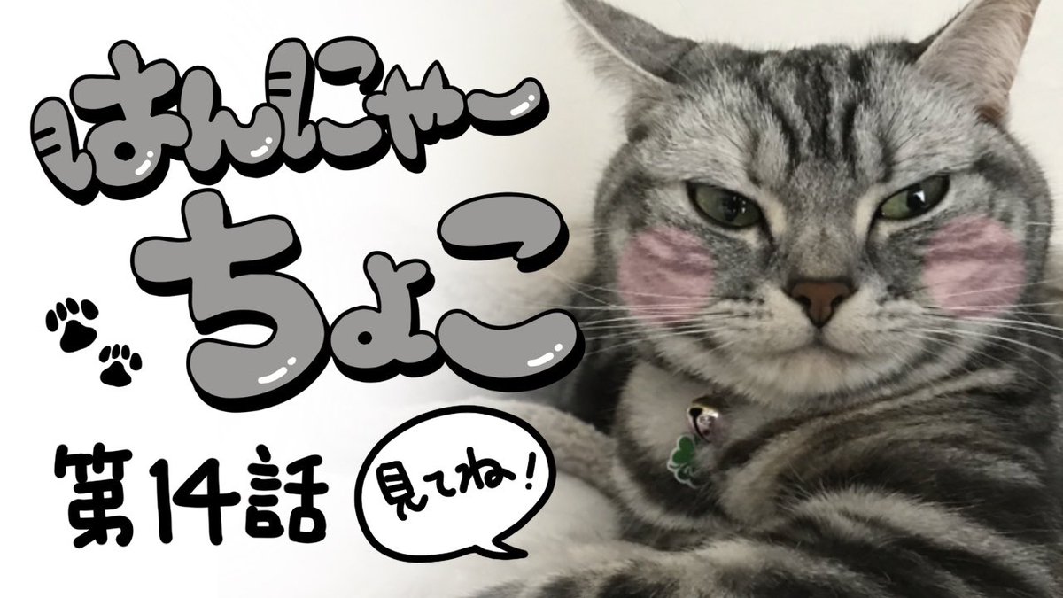 #猫 #cat #猫のいる暮らし
#漫画 #YouTube

はんにゃーちょこ毎日更新中です!

はんにゃーちょこ再生リスト↓↓↓
https://t.co/VpK37apuSd

絵の作成工程動画再生リスト↓↓↓
https://t.co/xvS7Fp260l 