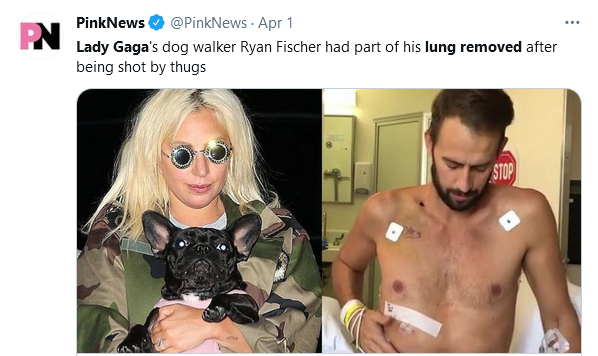 If I ever get shot four times in the chest I hope it too won't interfere with celebrity dog news