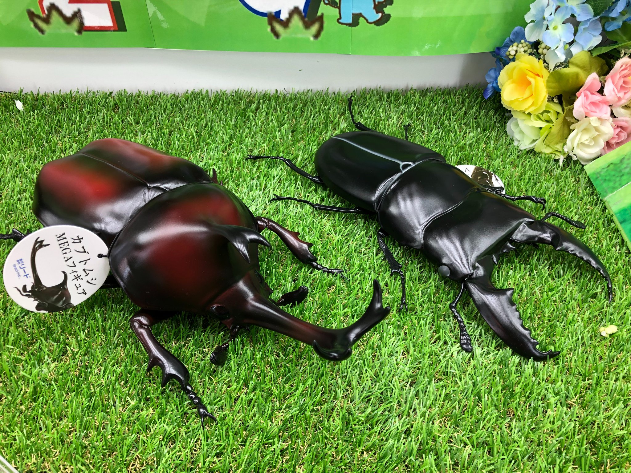 公式】楽市楽座イオンモール大牟田店 on X:  