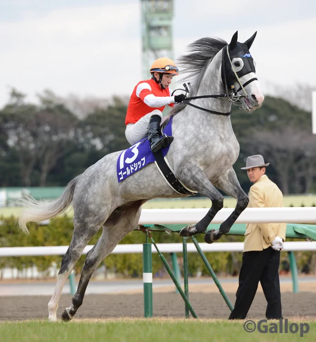 ゴルシウィークの前に？ゴールドシップの雄姿を見ておこうwww