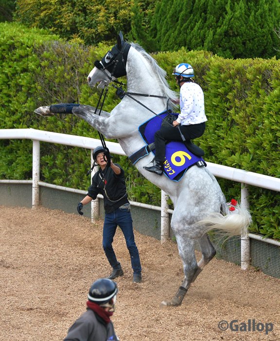 Uzivatel 週刊gallop Na Twitteru 昨日はたくさん反響をいただきましたので ゴルシウィークを待ちきれない方たちに ゴルシちゃんを大放出 ゴールドシップ ゴルシ ゴルシウィーク ゴルシちゃん ウマ娘