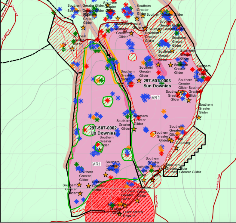 Here’s the government survey of the area for one of these bushfire affected threatened species, the Greater Glider (shown by stars on the map). Also, see that red circle down the bottom? Thats a critically endangered Leadbeaters Possum. Getting a bit close, don’t you think?