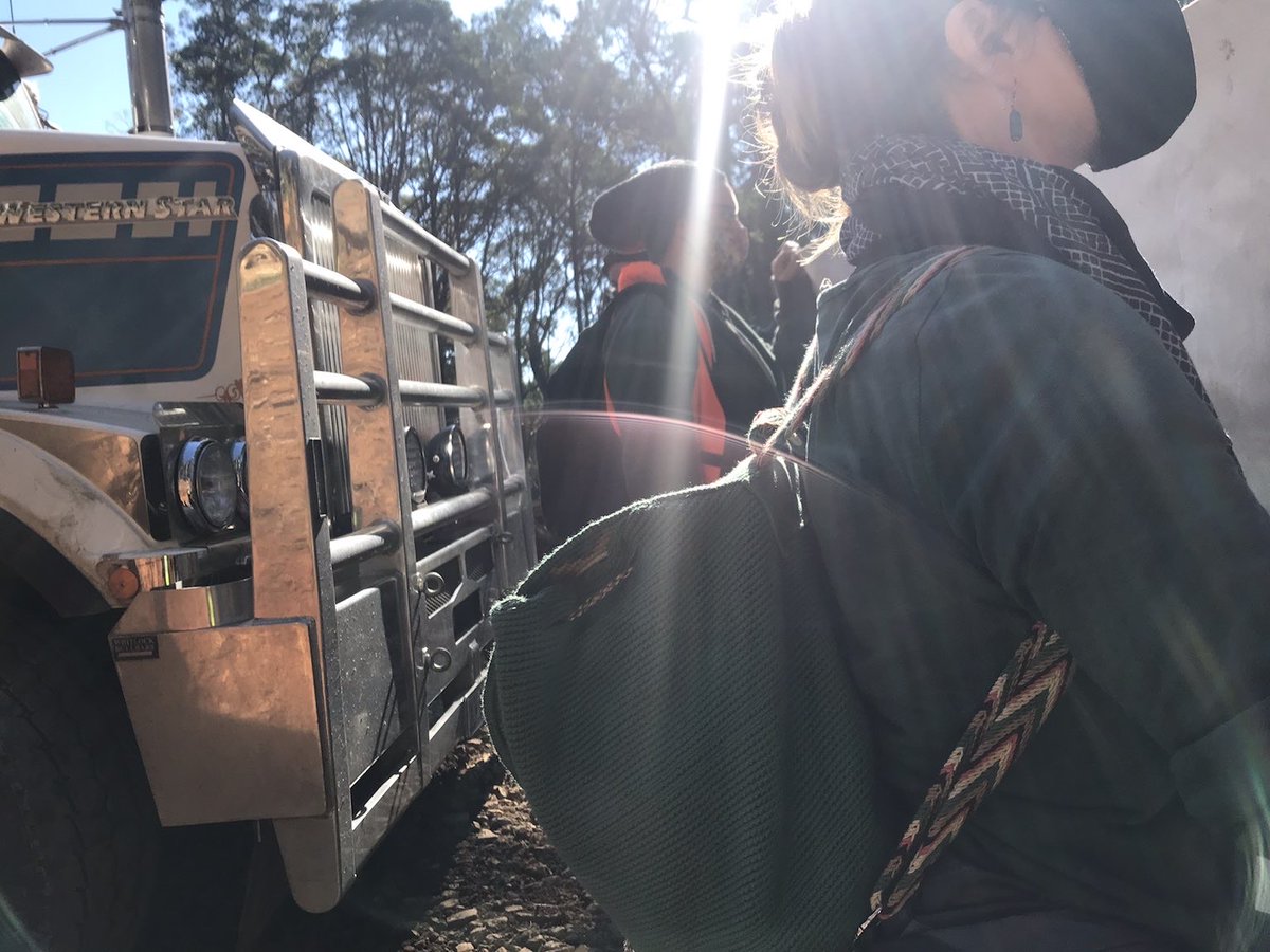 UPDATE: logging truck prevented from loading logs that are home to threatened species in Toolangi.