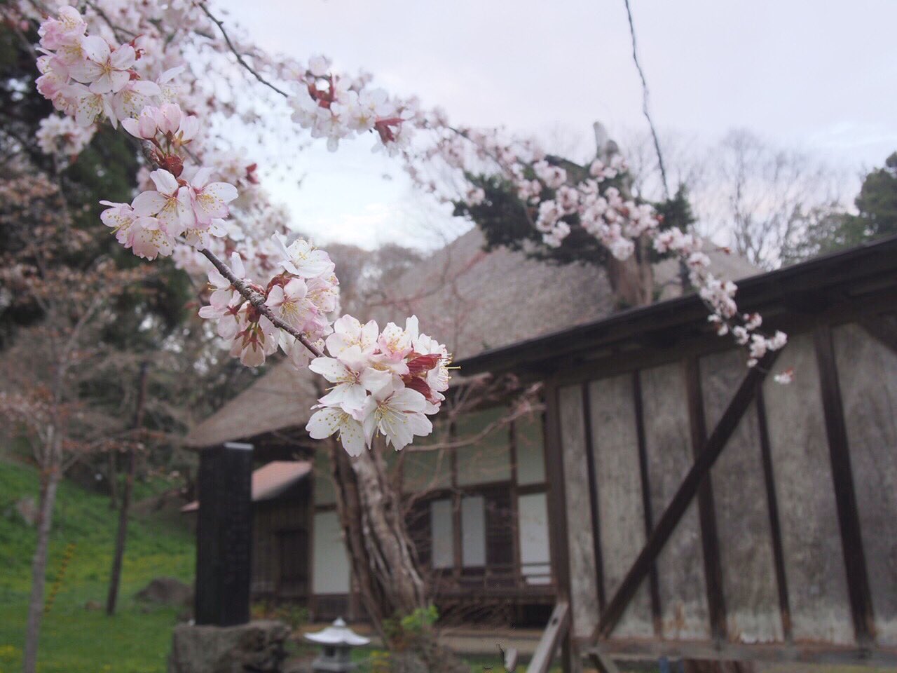 有珠善光寺 Twitter Search Twitter