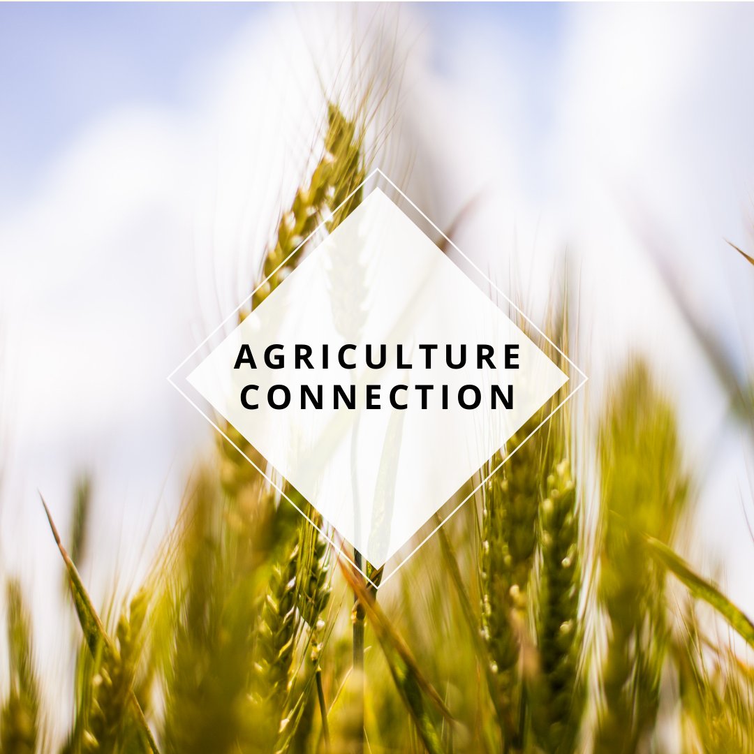 Less sensitive to cloud coverage, Solar Induced Fluorescence (SIF) measurements will allow GeoCarb to make daily maps that can deliver swift ecosystem health information on a continental scale.