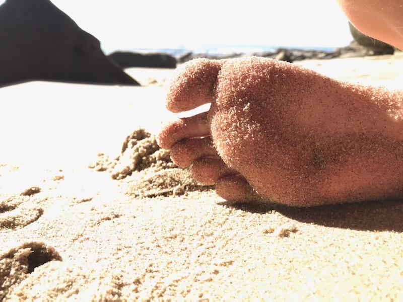 BrookeUnhooked's tweet photo. Beach day ⛱️
.
.
.
#footfetish #feet #legs #sandyfeet #toes #soles #footworship #sugardaddy #footmodel #beach #wet #sand #femdom #cashapp #sellingphotos #feetpics #thighs #beachbody #ocean #virtualgf https://t.co/I5WVXxvzlT