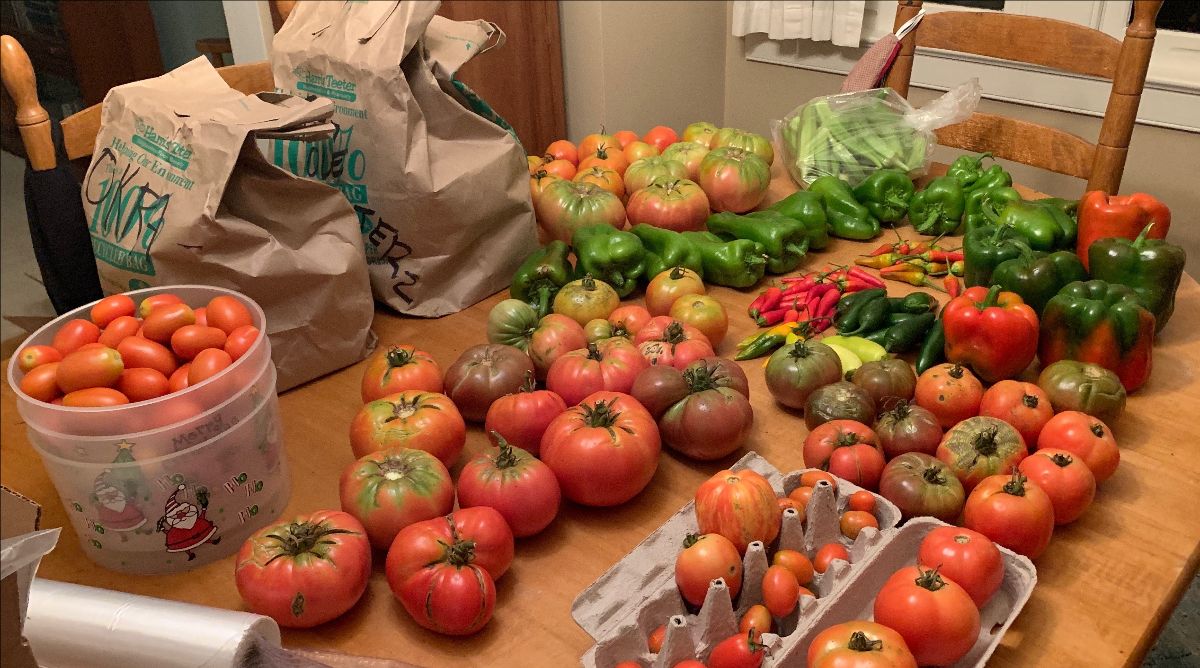 ArlingtonFOUA's tweet photo. One Day Left to Make Your Earth Day Gift 🍅🌱 - https://t.co/Zor7R6TAsO Support Plot Against Hunger today! Your donation will help local food pantries receive fresh veggies! #plotagainsthunger #arlingtonurbanag #foodpantries https://t.co/Sc5LbegyNF