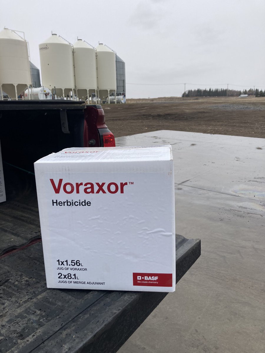 LeightonBlashko's tweet photo. Hey pea growers. Watch for new #preburn group 14 called #Voraxor from @BASFAgSolutions Available in 2022. Thanks @mbgrainfarmer for participating in our demo program. https://t.co/hknE5GT7sg