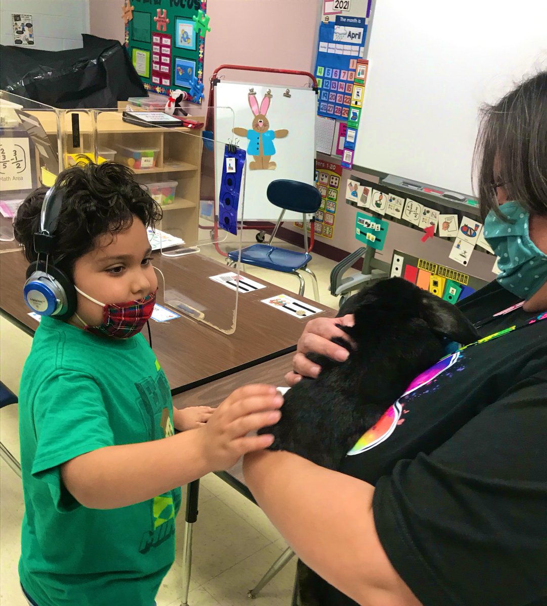 LeeAnna Zenner (@leeanna_2013) on Twitter photo We sure had a HOPPY time welcoming Mr. Bunny into our classroom after spending all week learning about rabbits! Thank you <a href="/hmcomber/">Heather McOmber</a> for letting him join us today! 😍🐇 <a href="/NISDRabaES/">Raba Elementary</a> <a href="/NISDSpecialEd/">NISD Special Ed</a> <a href="/IreneGo71039953/">Irene Gonzalez</a> We sure had a HOPPY time welcoming Mr. Bunny into our classroom after spending all week learning about rabbits! Thank you <a href="/hmcomber/">Heather McOmber</a> for letting him join us today! 😍🐇 <a href="/NISDRabaES/">Raba Elementary</a> <a href="/NISDSpecialEd/">NISD Special Ed</a> <a href="/IreneGo71039953/">Irene Gonzalez</a>