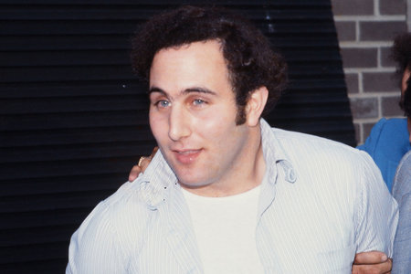 so, who was David Berkowitz? above-average intelligenceadopted, kind of fucked up about that facttroubled childhood, would start fireshere are the real kickers: served in the US army and as a security guardstop me if you've heard this one before...